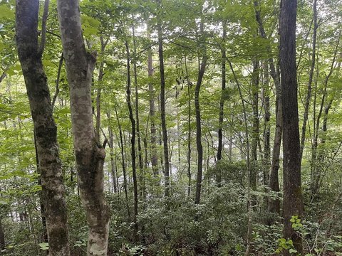 Unrestricted Land Near Multiple Lakes