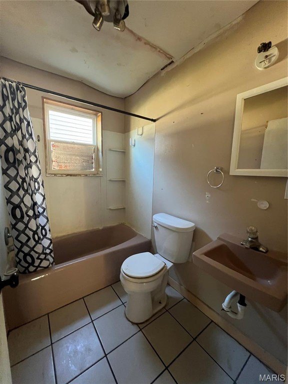 Picture 14