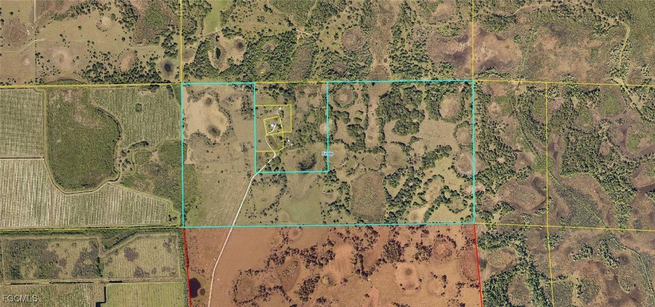Vast Agricultural Grazing Land
