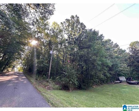 LAND/LOTS, PELL CITY, AL