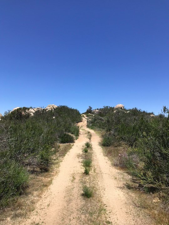 Picture 16