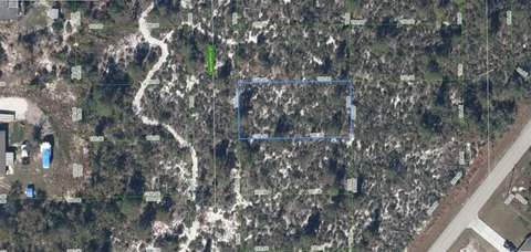 Land - LAKE PLACID, FL