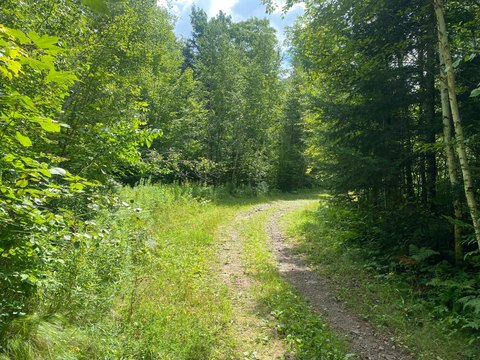 400 Acres Hunting Land, Park Falls