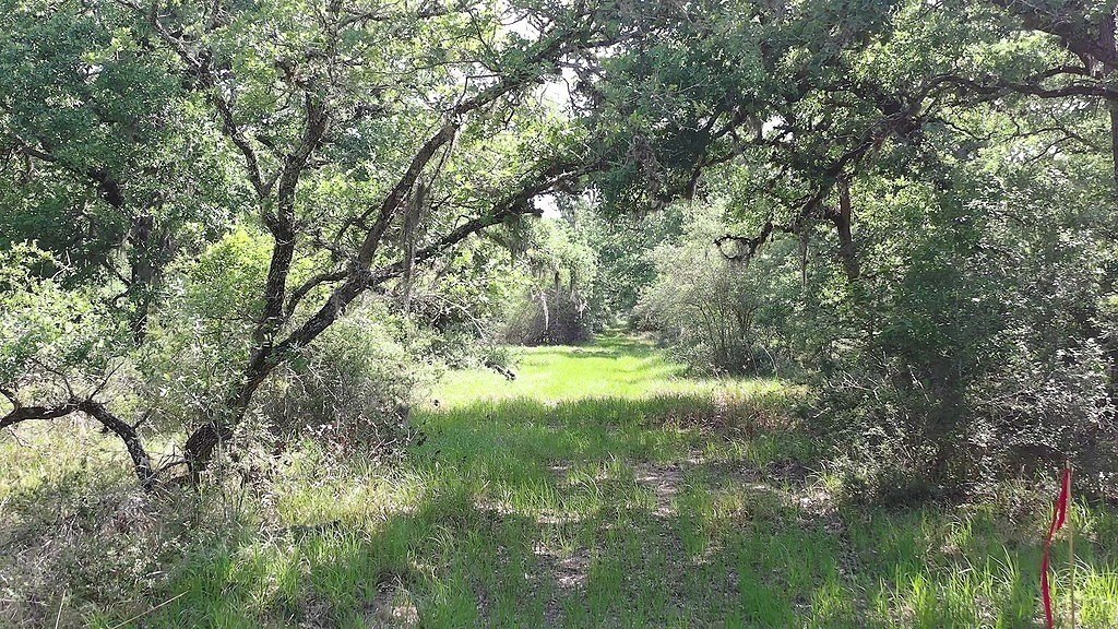 Picture 5