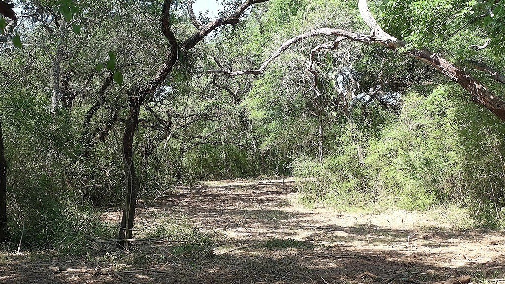Picture 24