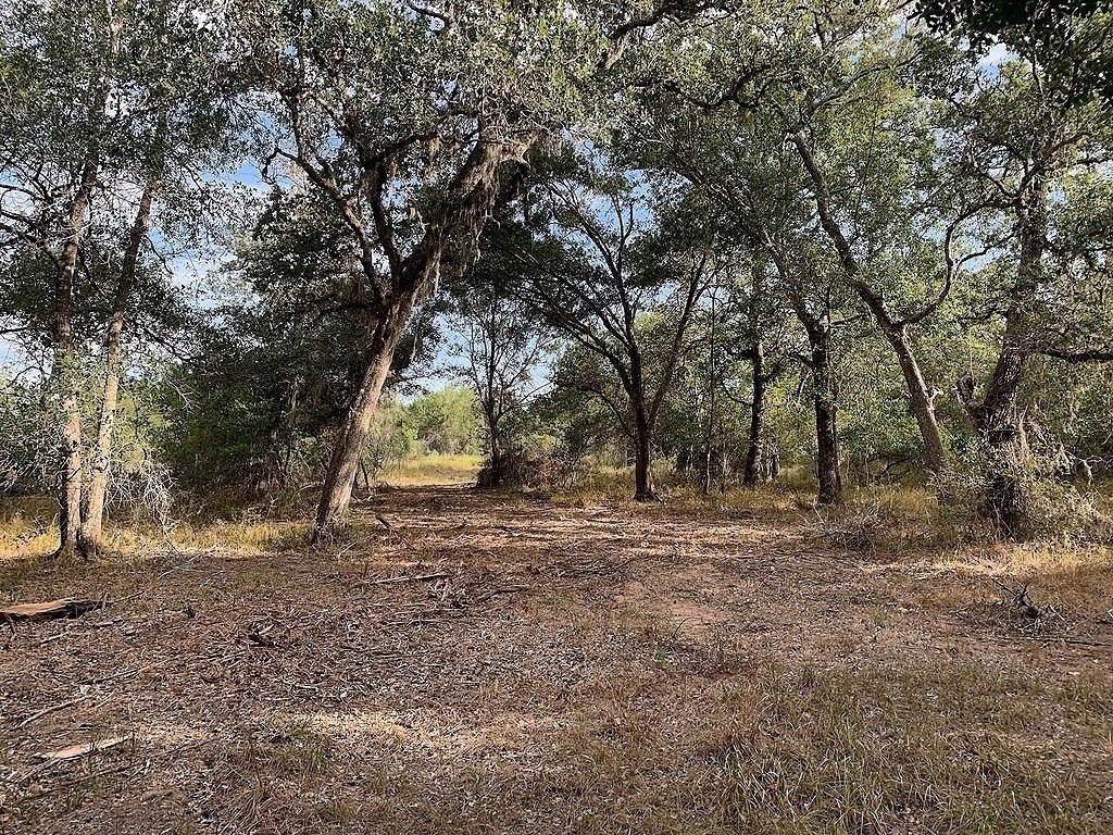 Picture 15
