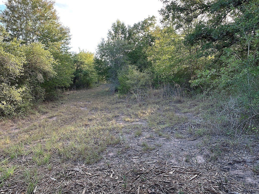 Picture 19
