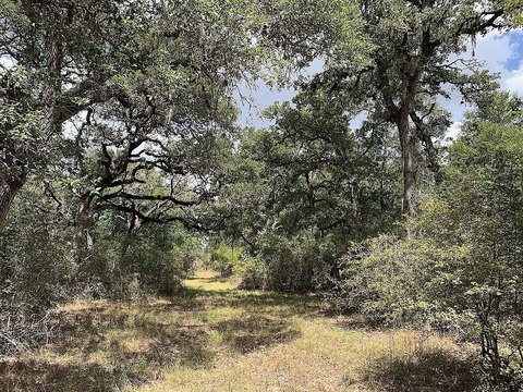 Secluded Recreational Land Tract
