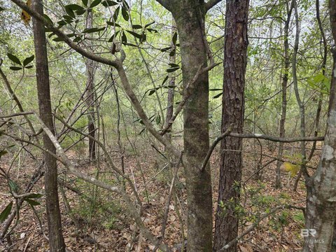 Land in Growing Bay Minette