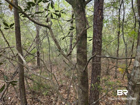 Land in Growing Bay Minette