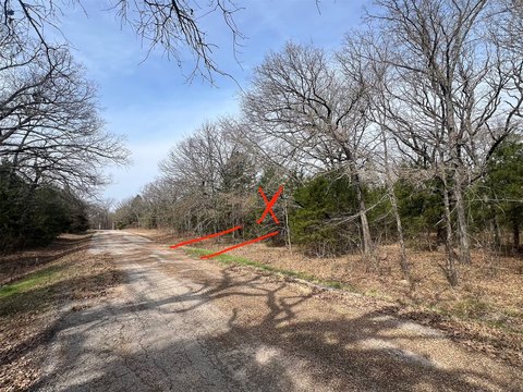 Wooded Lot in Mabank, TX