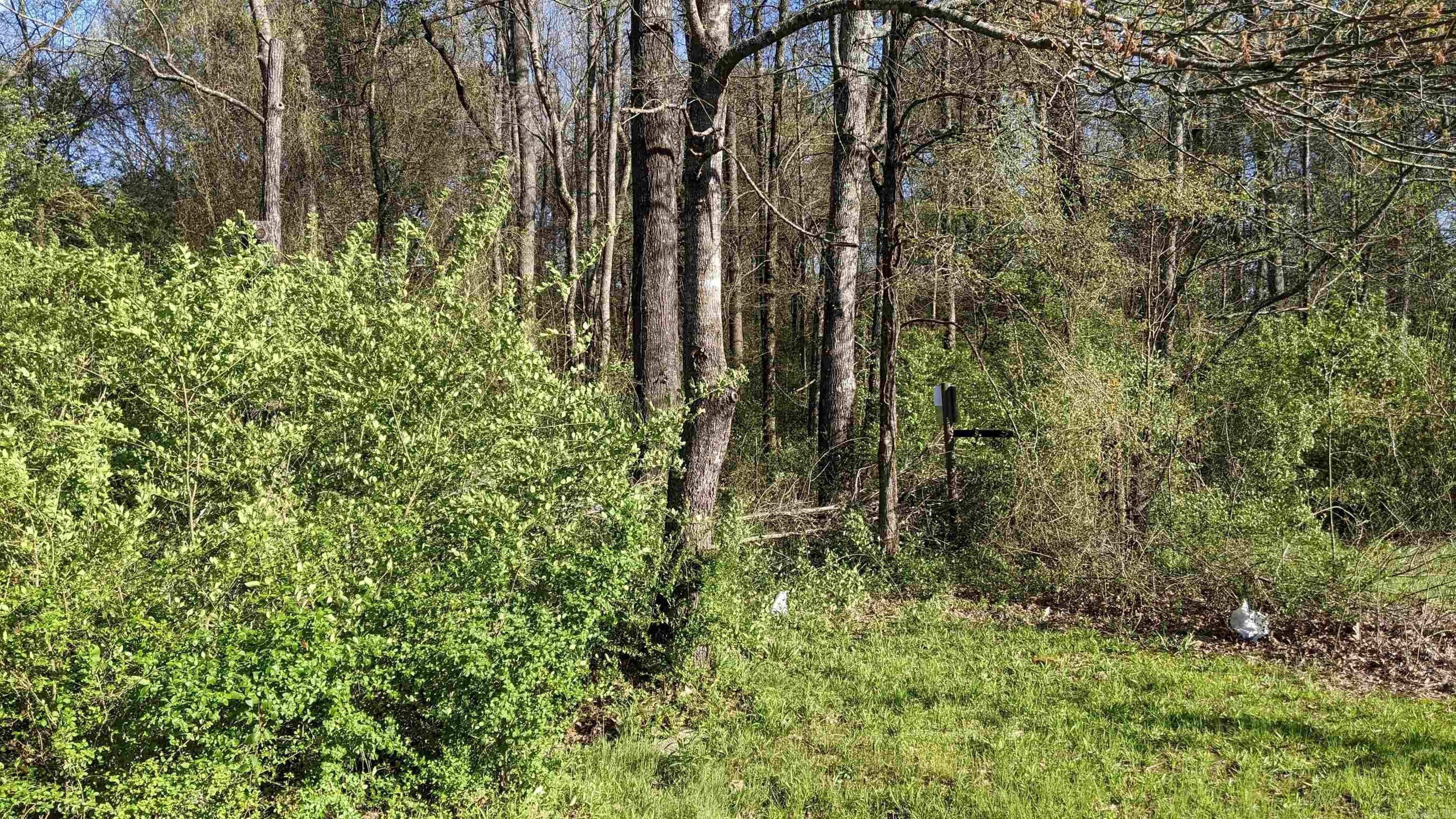 Land For Sale in Ward