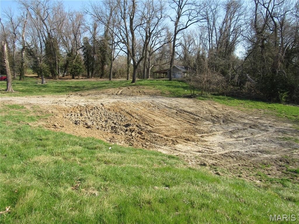 Picture 7