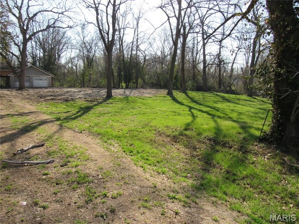 Picture 5