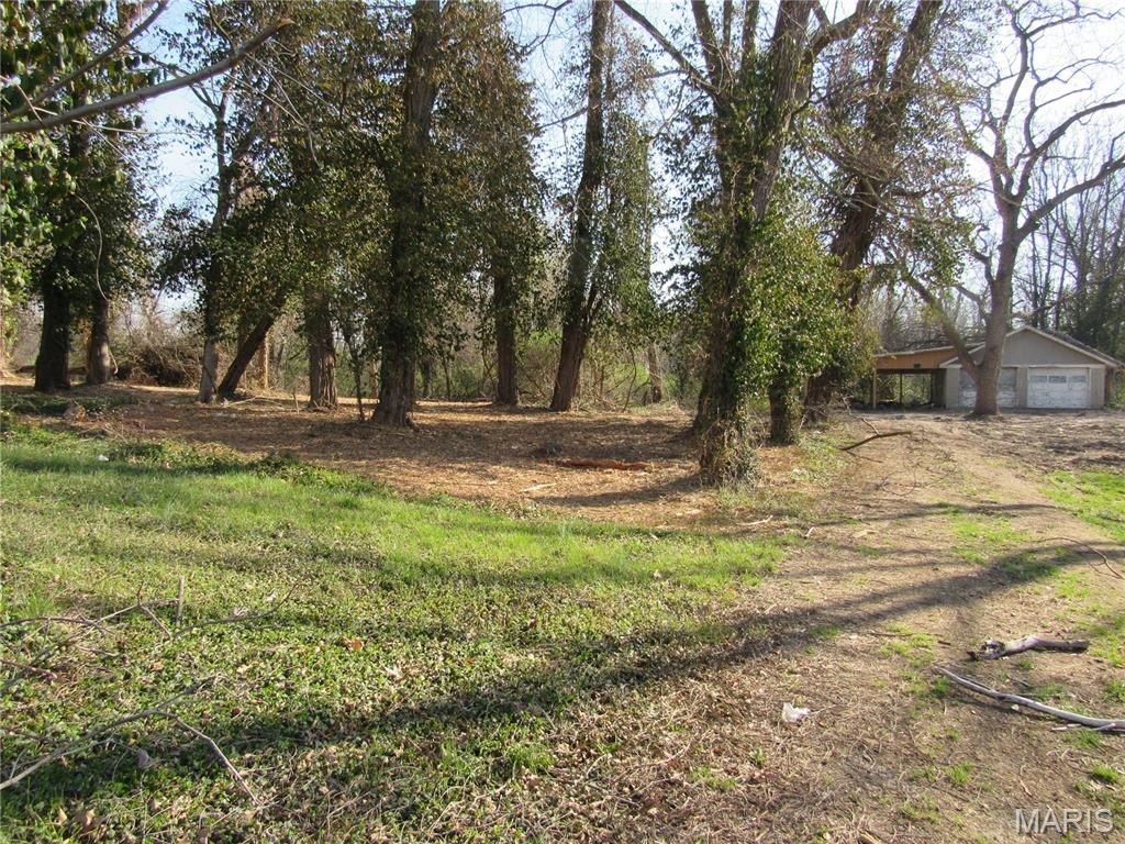 Picture 4