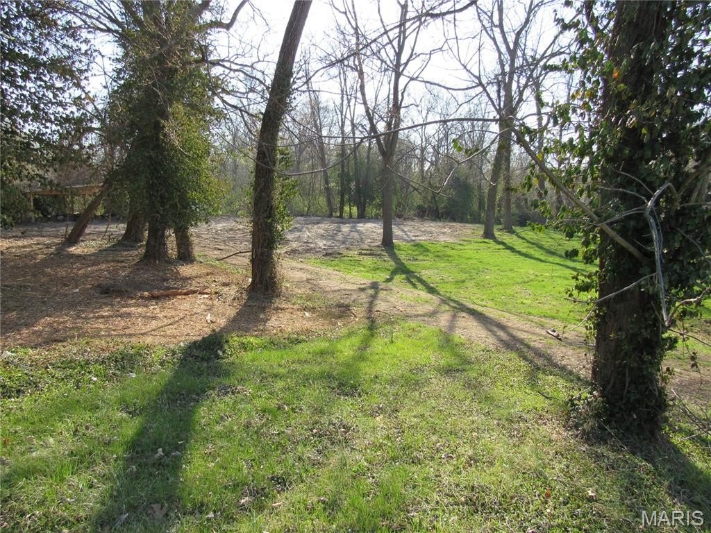Picture 3