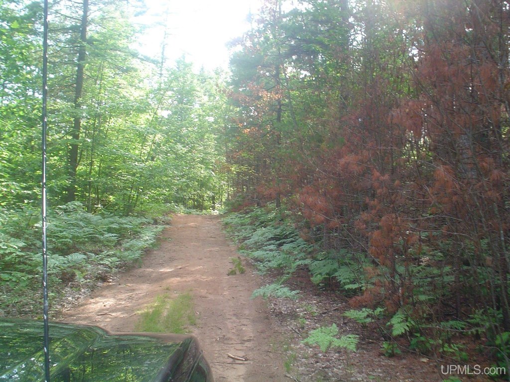Picture 19
