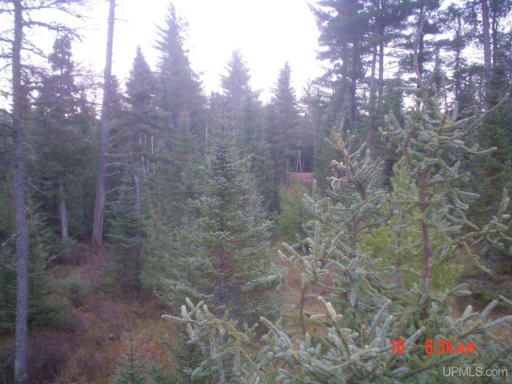 Picture 20