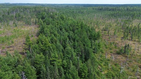 Remote Upper Peninsula Land Parcel