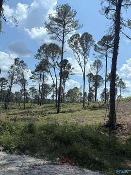 Land, Centre, AL