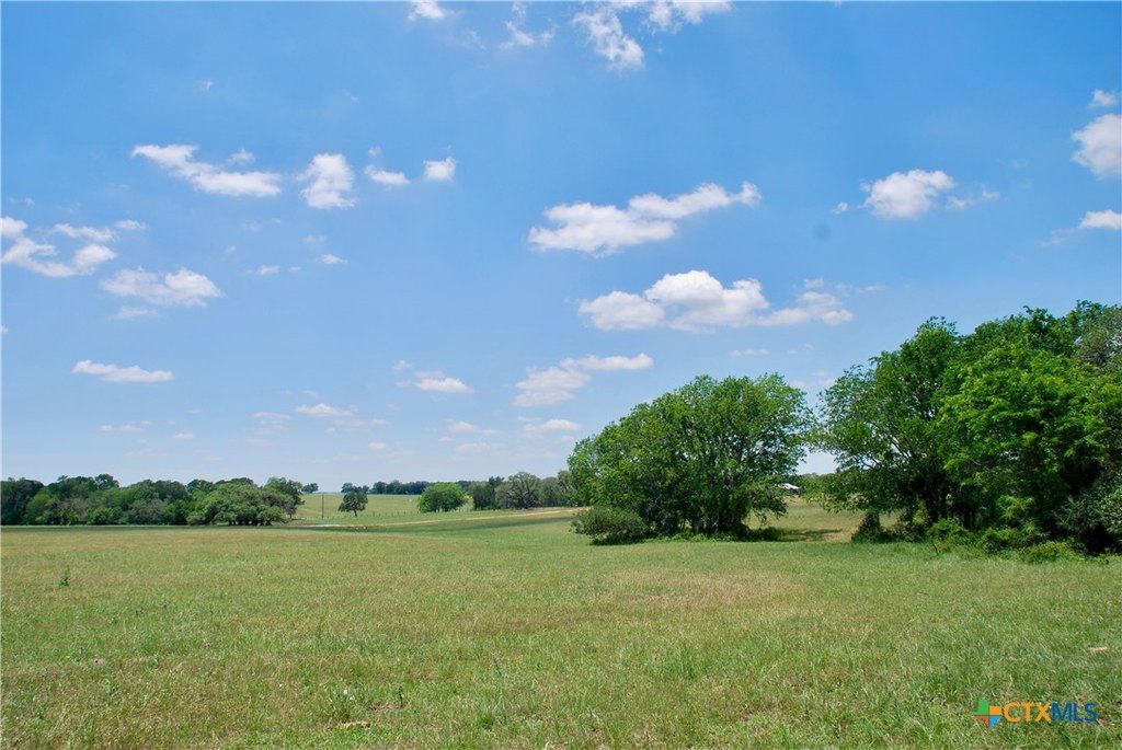 Picture 16