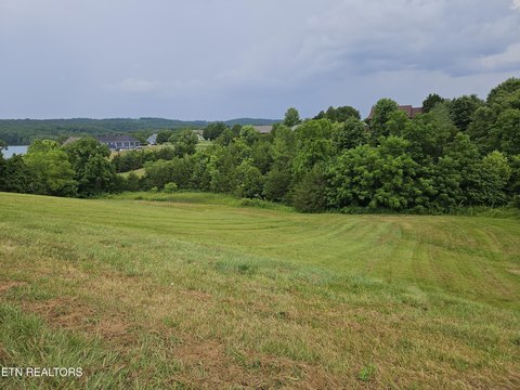 Norris Lake Waterfront Community Land