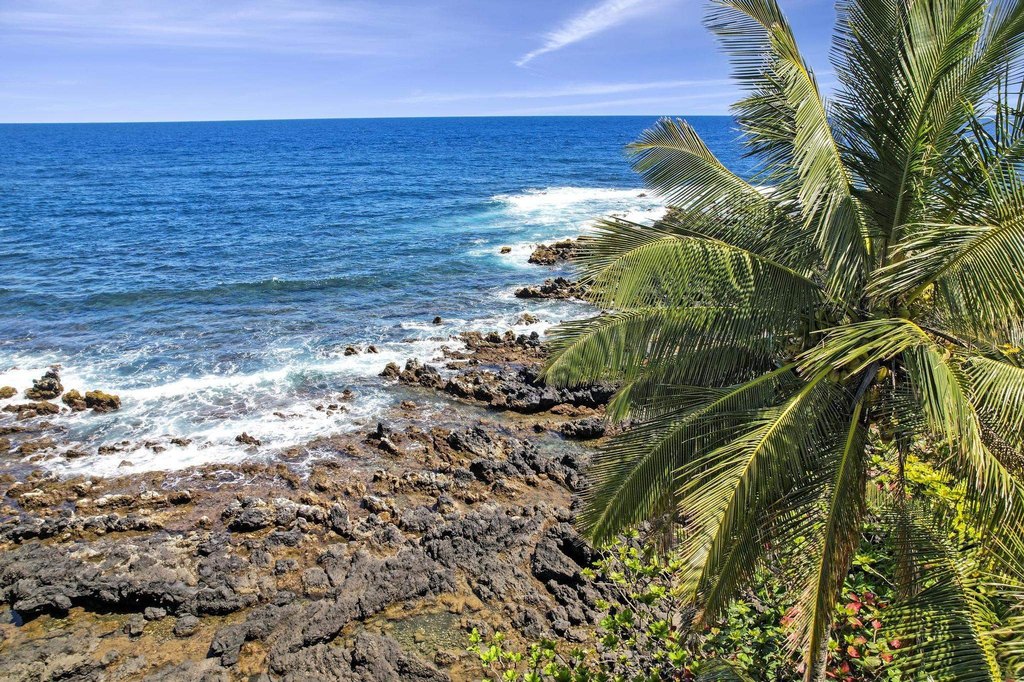 Picture 20
