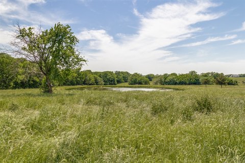 LAND - Blue Ridge, TX