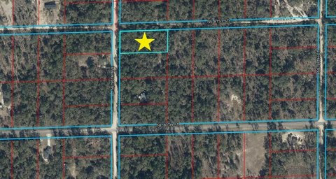 LAND - Bronson, FL