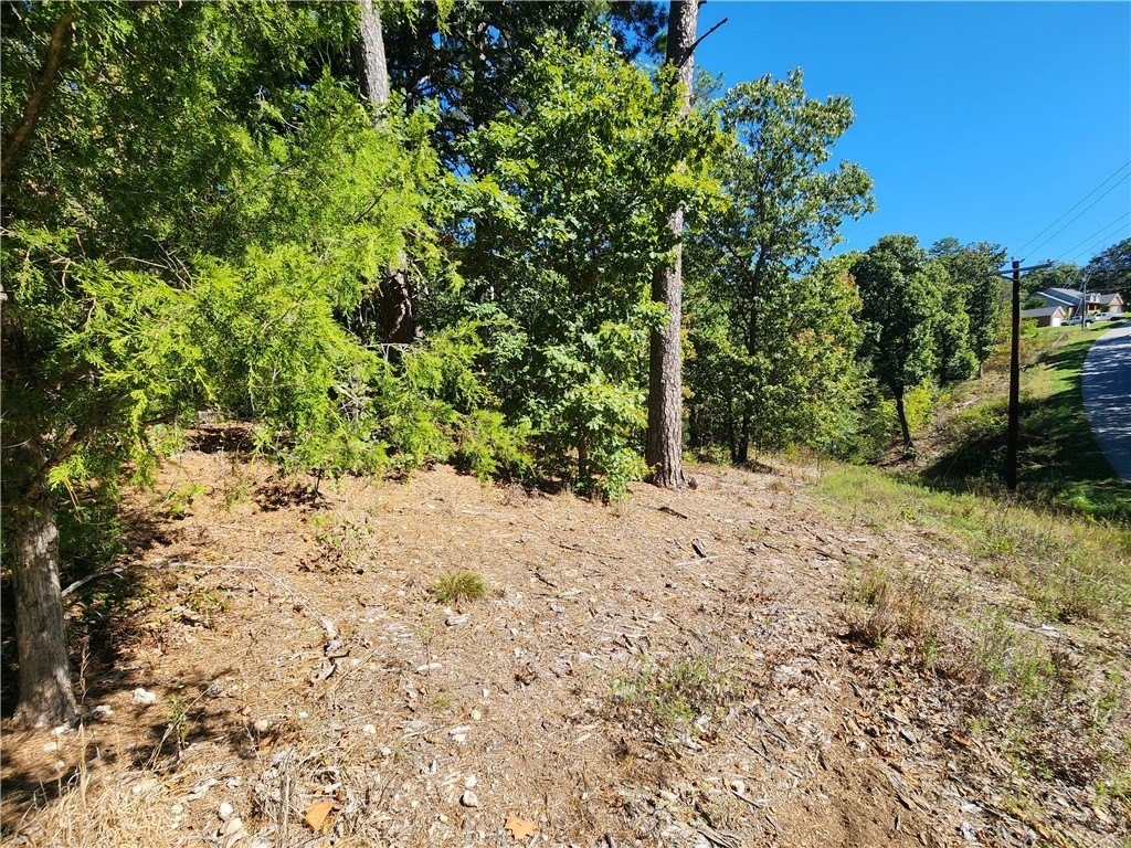 Picture 10