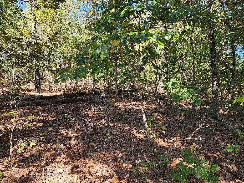 Picture 12