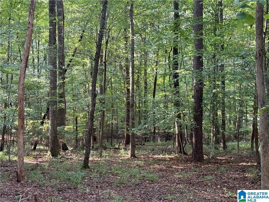 Picture 3