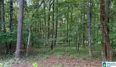 LAND - MCCALLA, AL