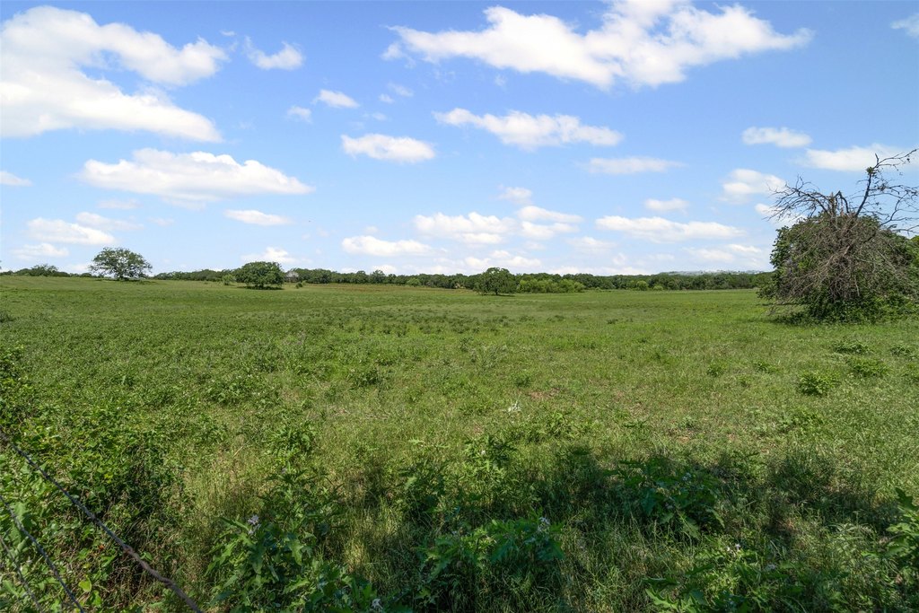 Picture 36