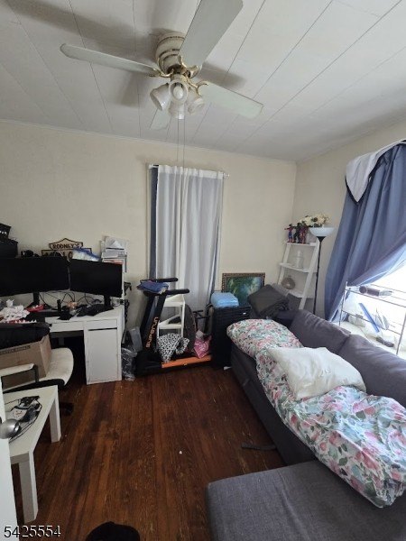 Picture 17