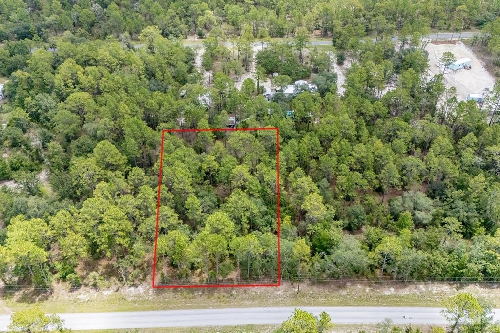 One Acre Vacant Lot