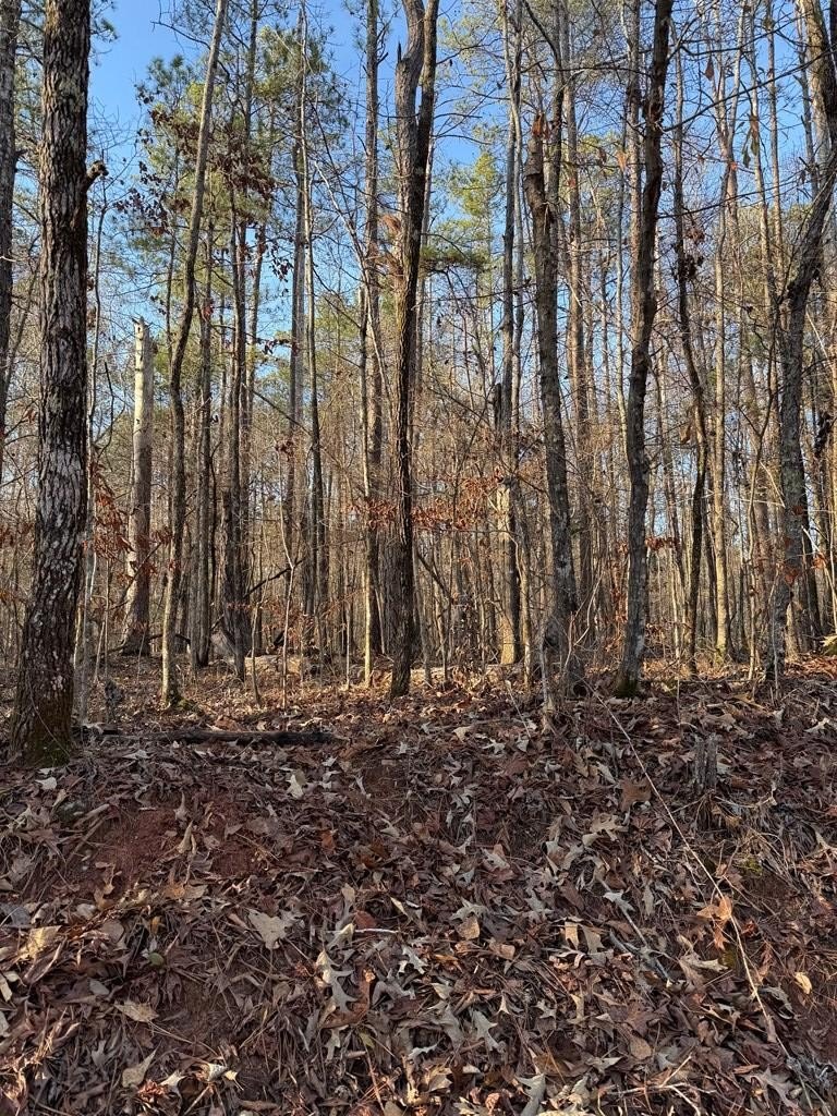 Lake Access Wooded Land