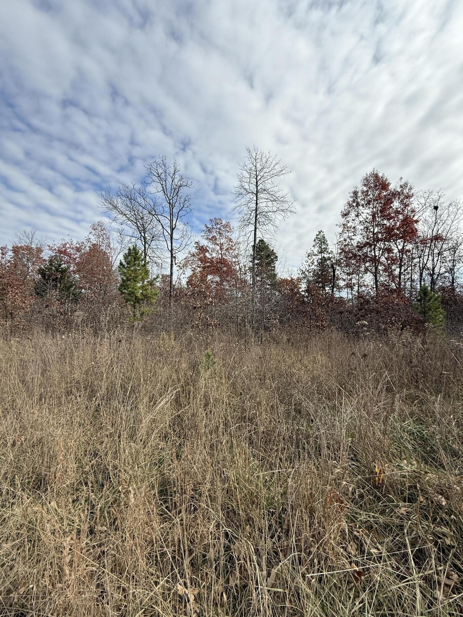 Winona, MO Wooded Land