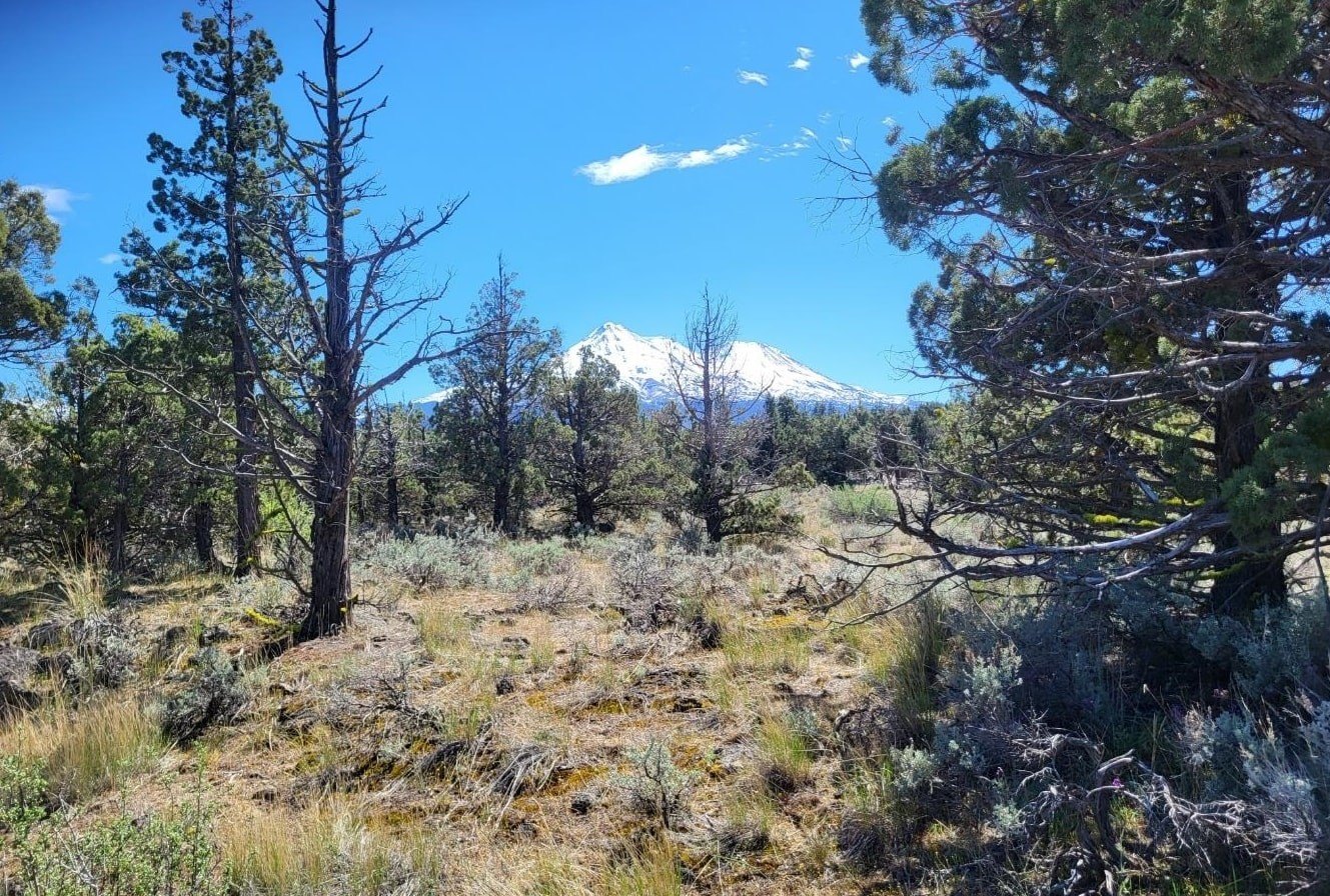Land in Montague, California