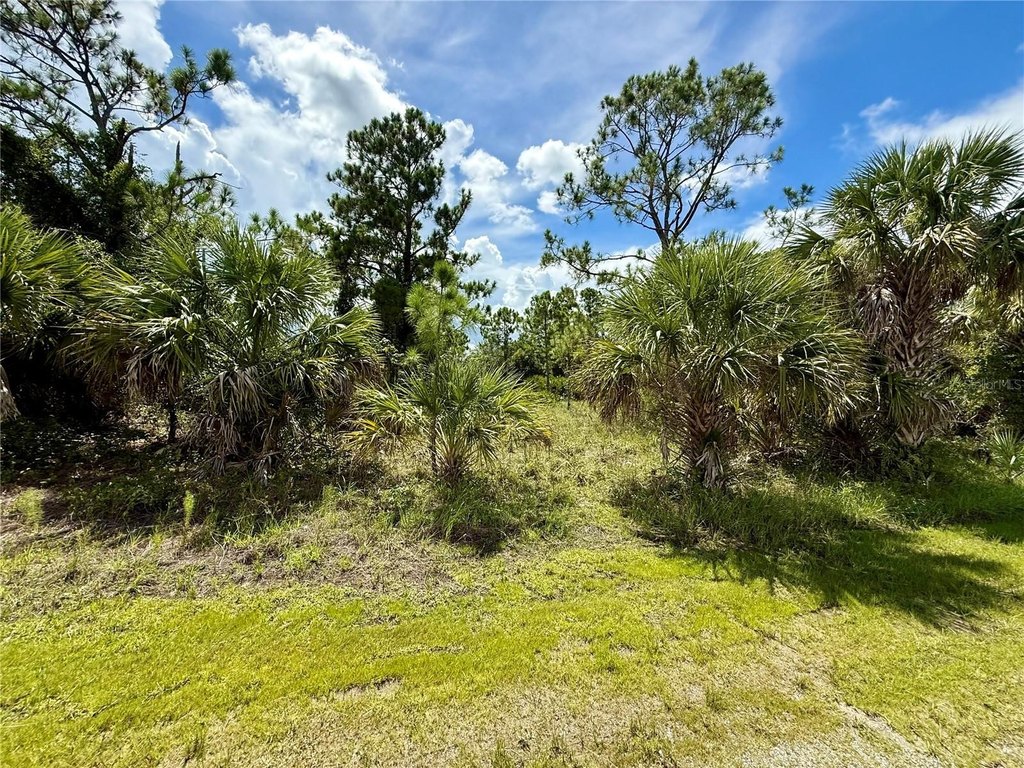 Picture 6