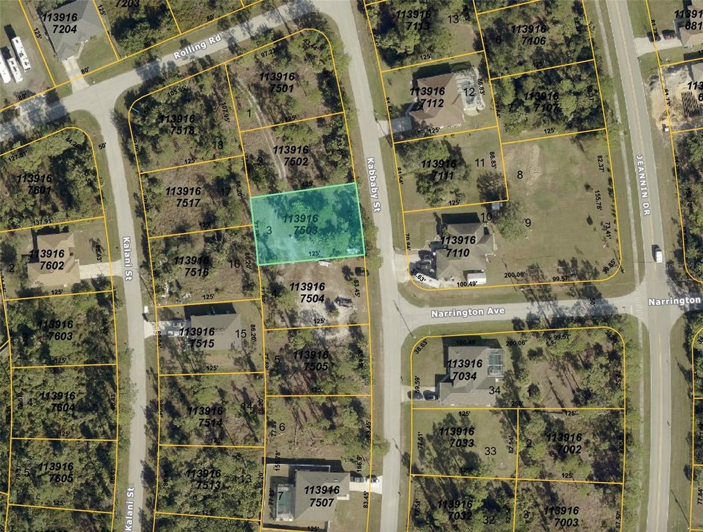 Picture 5