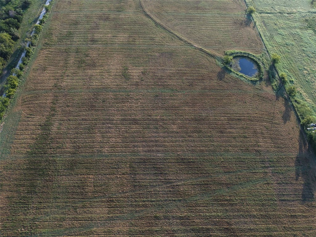 Picture 3
