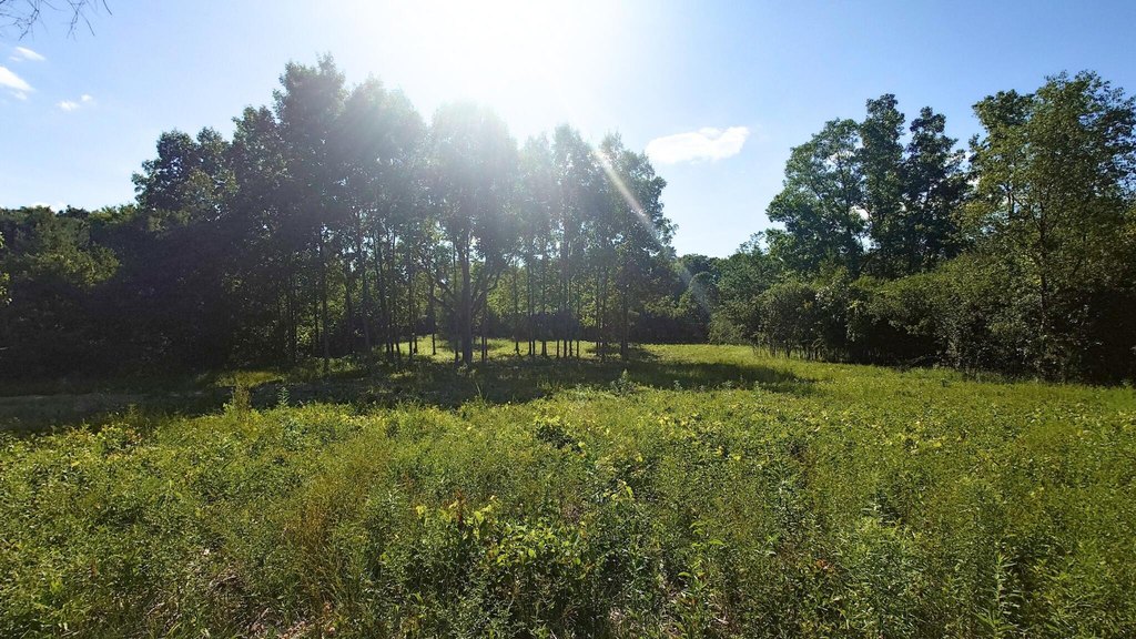 Picture 6