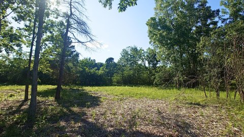 LAND - Ann Arbor, MI