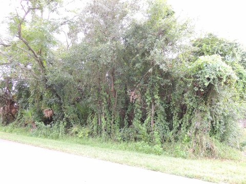 St Augustine Homesite Near Waterway