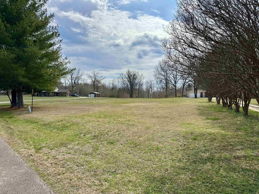 Picture 6