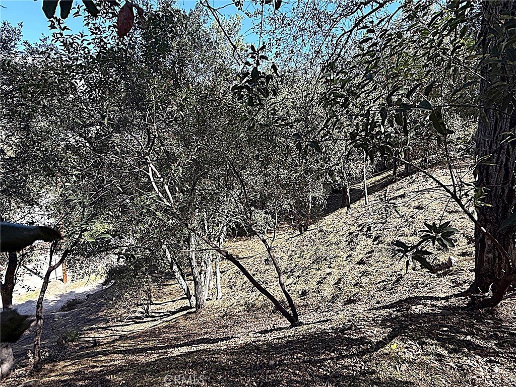 Picture 15