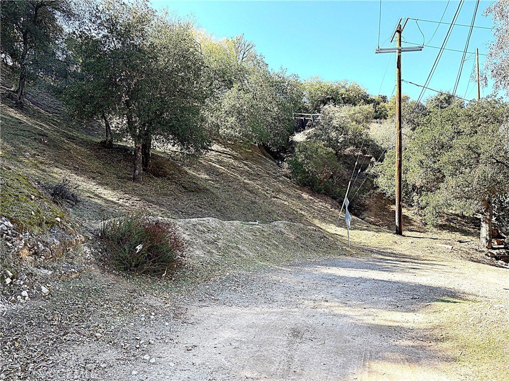 Picture 7