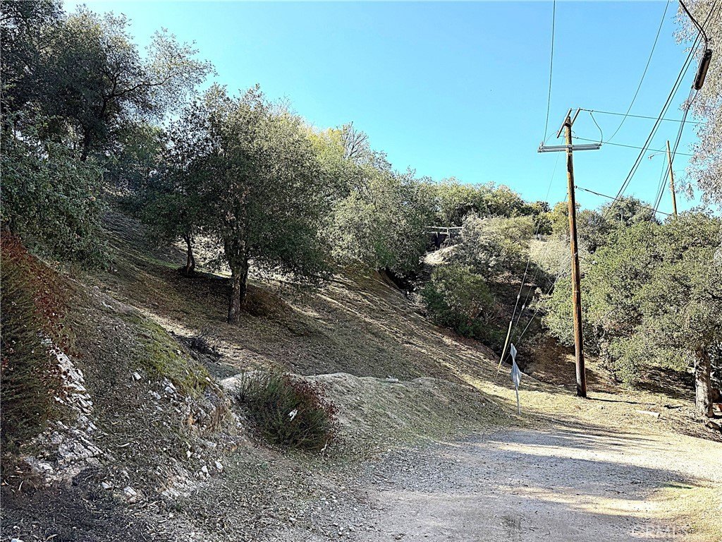 Picture 8