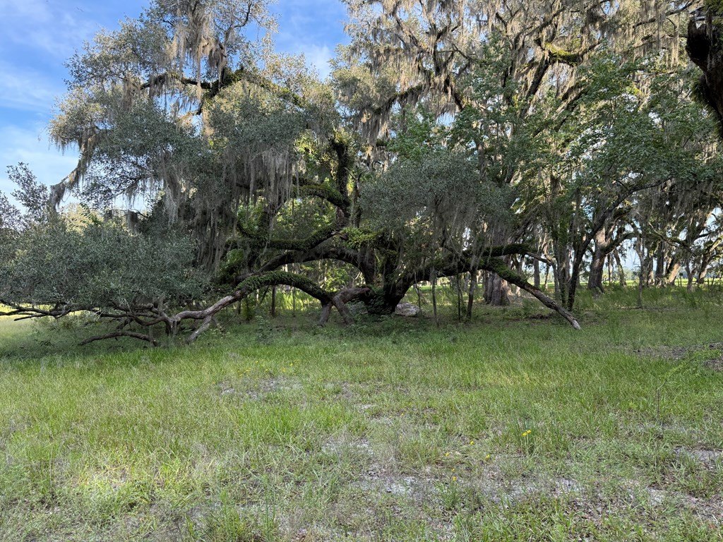 Picture 52
